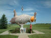 World's Largest Prairie Chicken in Rothsay, Minnesota.